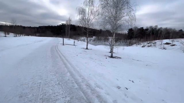 КАТАЮСЬ ПО ЛЕСУ ЗИМОЙ ?? смотреть онлайн