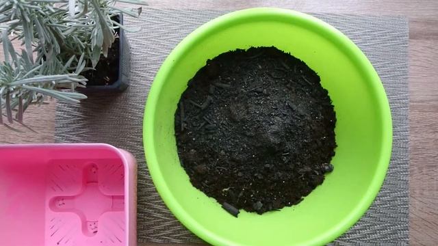 Ремонтные Историки