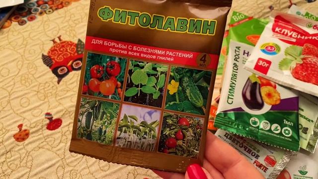 Что повезу в Германию из Питера// Дикси и ФиксПрайс//Семена и удобрения смотреть онлайн