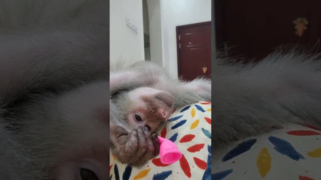 😁 ох уж этот сон , пришёл когда не ждали🤣 смотреть онлайн
