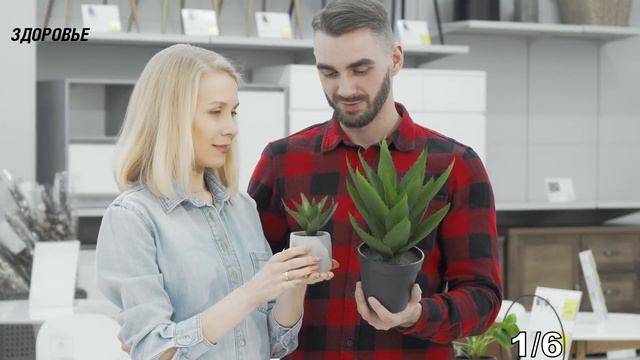 Как быстро избавиться от мозолей? Смотрите, дёшево, и на собственной кухне беру обычную смотреть онлайн