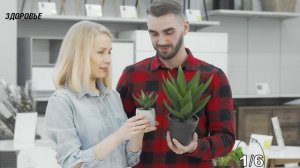 Как быстро избавиться от мозолей? Смотрите, дёшево, и на собственной кухне беру обычную
