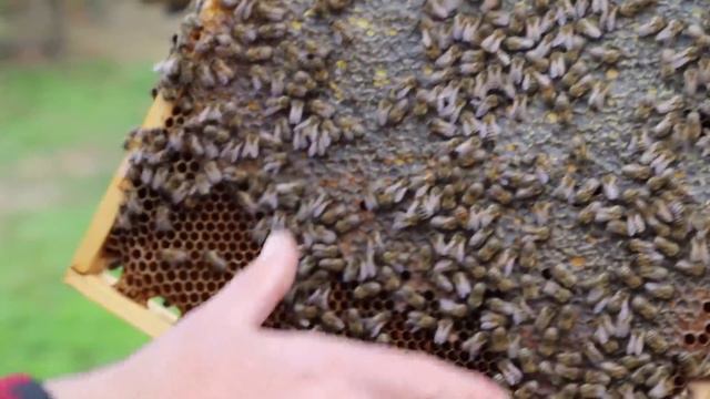 Landscape Design Delights