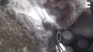 НЕСЧАСТНЫЕ СЛУЧАИ СНЯТЫЕ НА КАМЕРУ И ПРОСТО НЕУДАЧИ