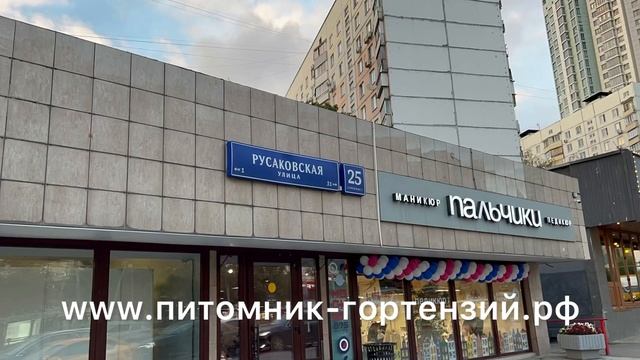 Садовая Выставка Фазенда 21-25 СЕНТЯБРЯ 2022 Москва(Сокольники) Торговый Дом ЭКСПО смотреть онлайн
