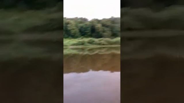 Тохатсу 9'8 + ПВХ 300, река Ока...покатушки ! смотреть онлайн