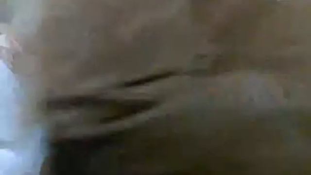 ХФ Загон кадры в 39й спортроте, Тбилиси смотреть онлайн