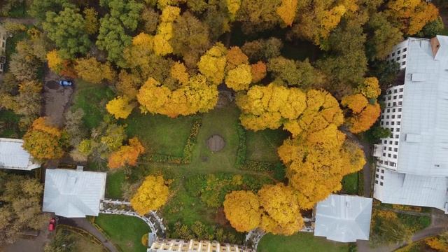 Усадьба Пехра - Яковлевское. Балашиха. Съемка с DJI mini2 / GoPro 8 в 4K смотреть онлайн