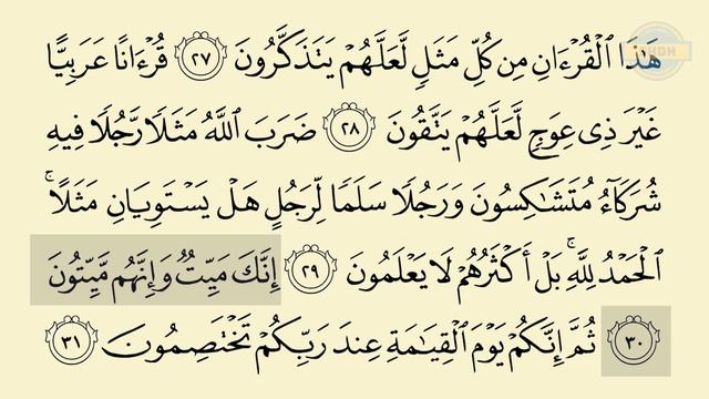 SHDH - Juz 23-24 Halaman 461-462 смотреть онлайн