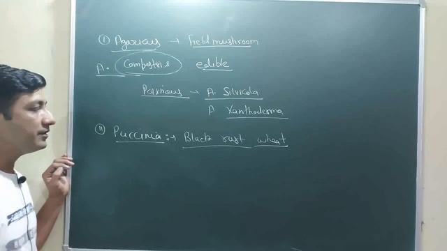 kingdom fungi #Basidiomycetes (The club fungi) 11th NEET Bio. #NEET#Basidiomycetes #neet2022 смотреть онлайн