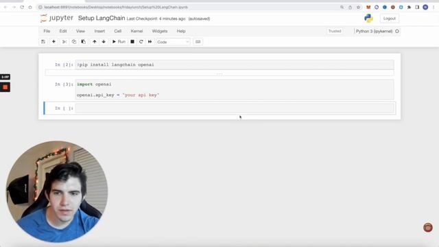 LangChain - Setup Python environment (so easy my grandma can do it) смотреть онлайн