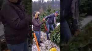 Мы в лесу срубили Елку