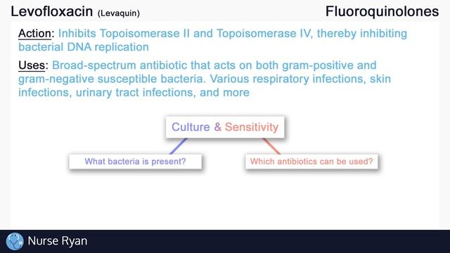 Levofloxacin (Levaquin) Nursing Drug Card (Simplified) - Pharmacology смотреть онлайн