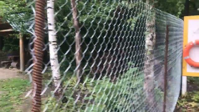 29 08 17 клевое место работы по созданию ВИП территории ведутся полным ходом смотреть онлайн