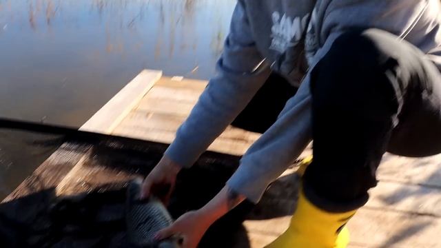 Рыбалка на карпа с ночёвкой! Карпфишинг 2023. #380 смотреть онлайн