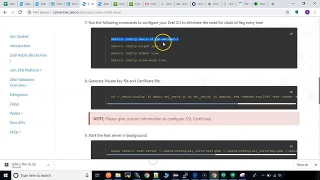 ZPB Validator Node Setup using Binaries on Linux - V1.0 смотреть онлайн