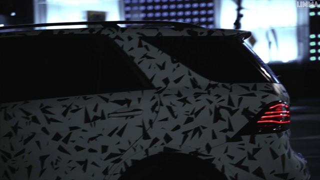 LIMMA GROUP _ Rosie SD Acharuli