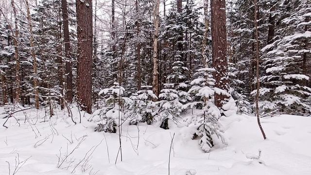 Музыка для Отдыха, Сна, Восстановления внутреннего спокойствия смотреть онлайн