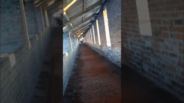 хожу по стенам нижегородского кремля #нижнийновгород #кремль смотреть онлайн