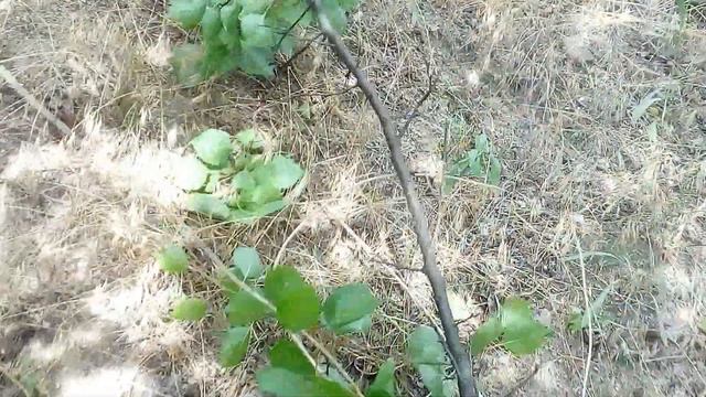 Сделал комнату в земле/С Евро Ремонтом смотреть онлайн