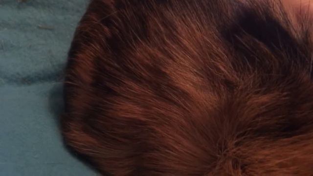 Насморк смотреть онлайн