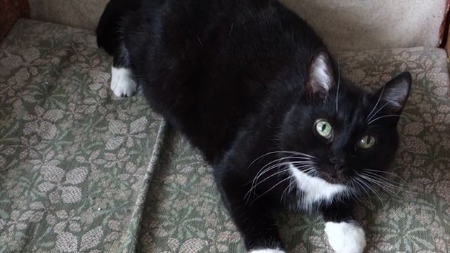 Как дешево отреставрировать старый шкаф. смотреть онлайн