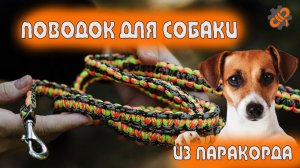 Поводок из паракорда | Поводок для собаки | Ручная работа | Выживай.РФ