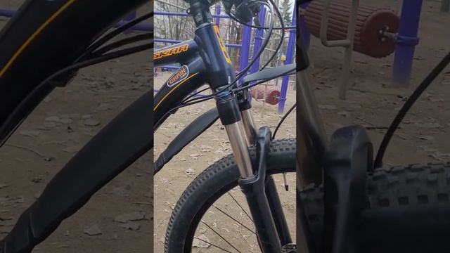 Gt Zaskar Sport 2017