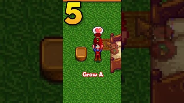Every Stardrop Location In Stardew Valley смотреть онлайн