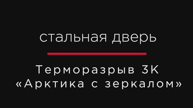 Входная металлическая дверь АРКТИКА Букле графит/ЗЕРКАЛО Капучино ZB 853-2 смотреть онлайн