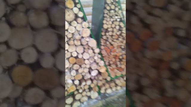дровник "Ёлочки" дизайнерский смотреть онлайн