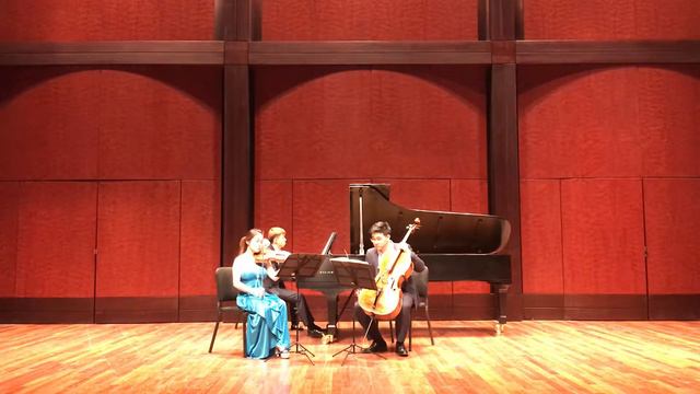Schubert - Piano Trio in Bb Major, D. 28 смотреть онлайн