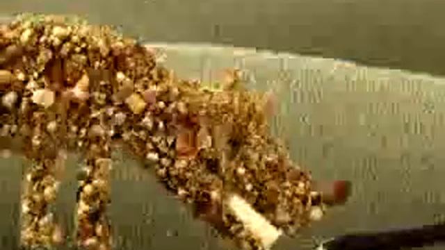 PIK A NIK  (International Creation)