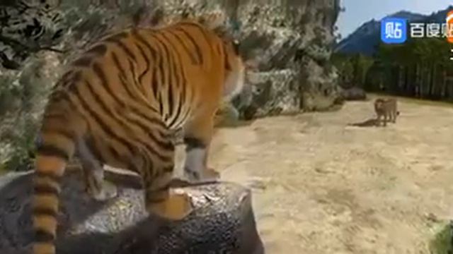 ТИГР ПРОТИВ ЛЬВА смотреть онлайн