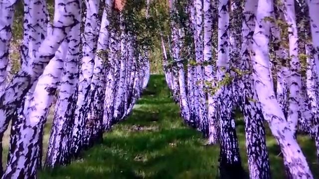 Стихотворение "А знаете ли вы, что такое Россия?" смотреть онлайн