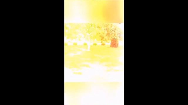 Толга Ярославль Женский монастырь