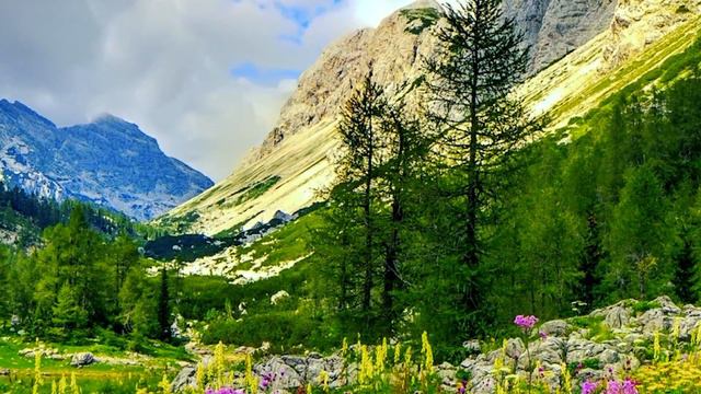 Девушка шокировала приютившего ее пожилого мусульманина, когда родила ребенка смотреть онлайн