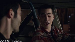 Дерек и Стайлз | Питер и Стайлз • Любовь с теми кто тебя старше