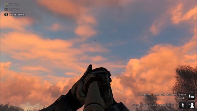 COMO CAÇAR GANSO-DO-CANÁDA THE HUNTER CLASSIC смотреть онлайн
