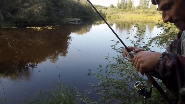 ЛОВЛЮ ЩУКУ НА СЕКРЕТНОМ ОЗЕРЕ, РЫБАЛКА НА СПИННИНГ, В ПРУДУ МНОГО РЫБЫ. смотреть онлайн