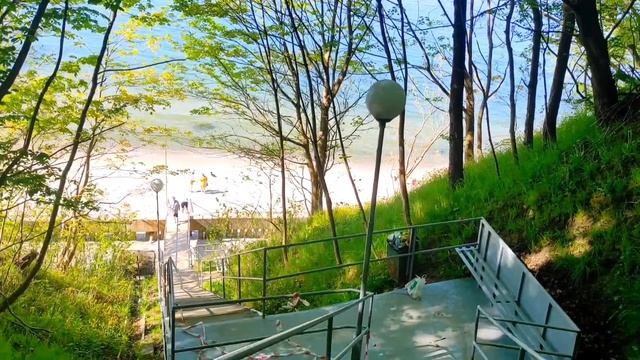 Из Батуми в Светлогорск. Юг или Север. Европейский курорт в России? смотреть онлайн