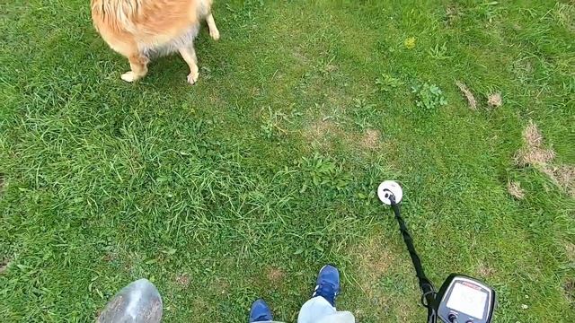 Fisher F75 LTD | South Wales metal detecting: first metal detecting video on the new channel смотреть онлайн