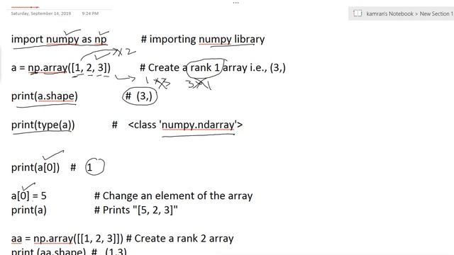 Numpy 1 смотреть онлайн