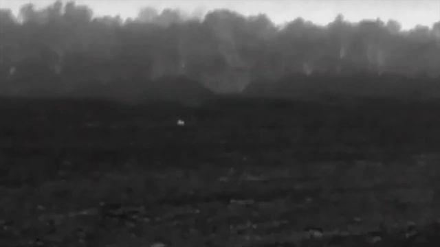 Первый полевой тест минитепловизора Xinfrared Thermal Eye XH09(X2) смотреть онлайн