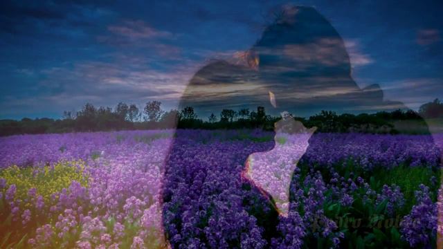Dancing Shadows - Armik смотреть онлайн