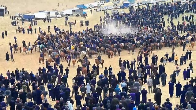 BUGUN KUKDALA TUMANI AYRITOM QISHLOG'I XAMZA BOYNI KATTA KUPKARISI 21.12.2022 смотреть онлайн