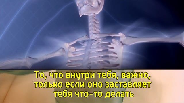 6 жестоких истин про то как стать лучше – Горькая правда жизни для саморазвития и успеха в жизни смотреть онлайн