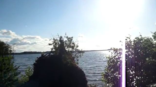 Озеро Новгородская обл смотреть онлайн
