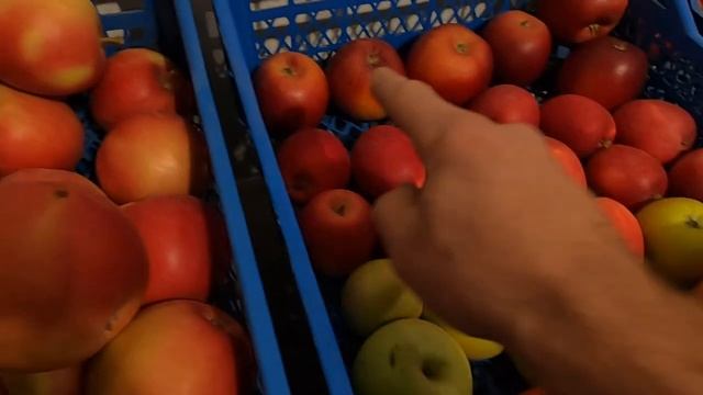 Підсумок збору врожаю яблук та груш 2023 смотреть онлайн