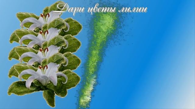 С днем рождения, Лиля смотреть онлайн